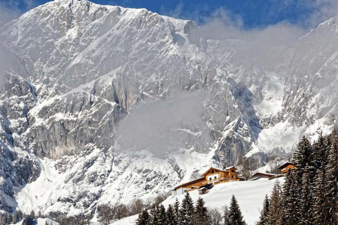 Gut Stein Panoramalodge Mühlbach am Hochkönig Εξωτερικό φωτογραφία