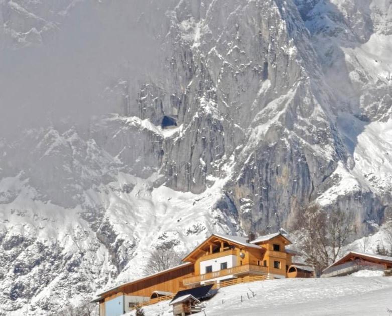 Gut Stein Panoramalodge Mühlbach am Hochkönig Εξωτερικό φωτογραφία