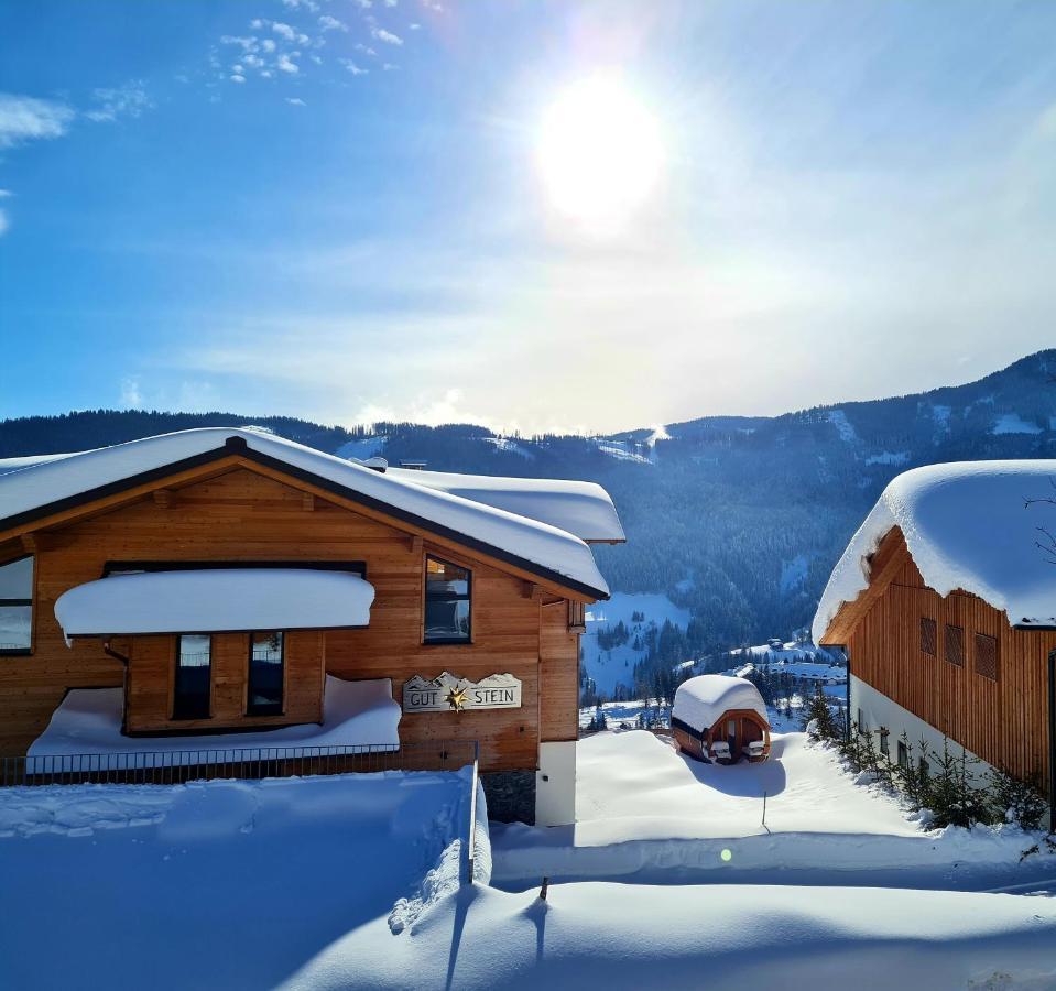 Gut Stein Panoramalodge Mühlbach am Hochkönig Εξωτερικό φωτογραφία